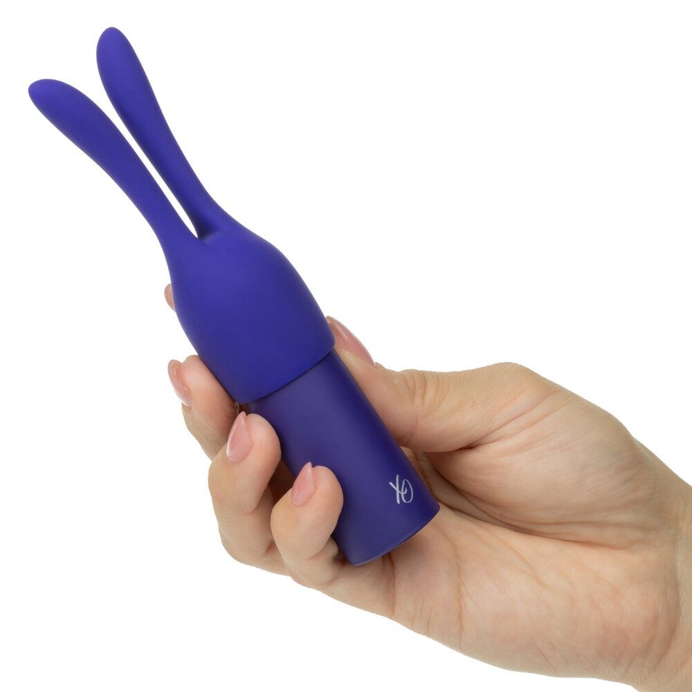 Exotics Pleasure Kits Collection product image CalExotics Temptation Pleasure Kit packaging and contents